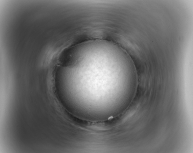 X0000096691201200802121225