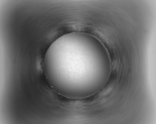 X0000096691202200802121225