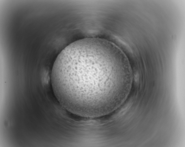 X0000096691204200802121225