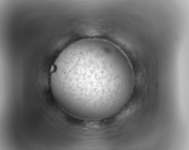 X0000096691205200802121225