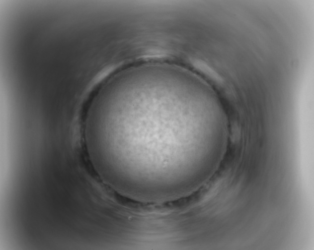 X0000096691208200802121225