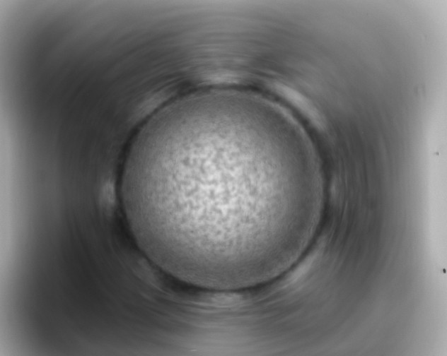 X0000096691209200802121225