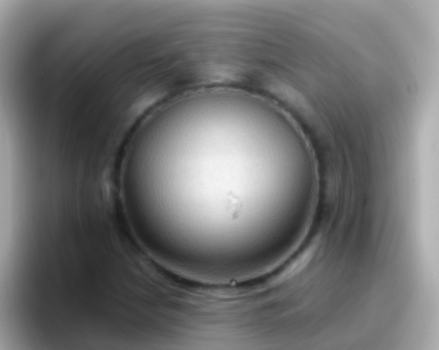 X0000096691210200802121225