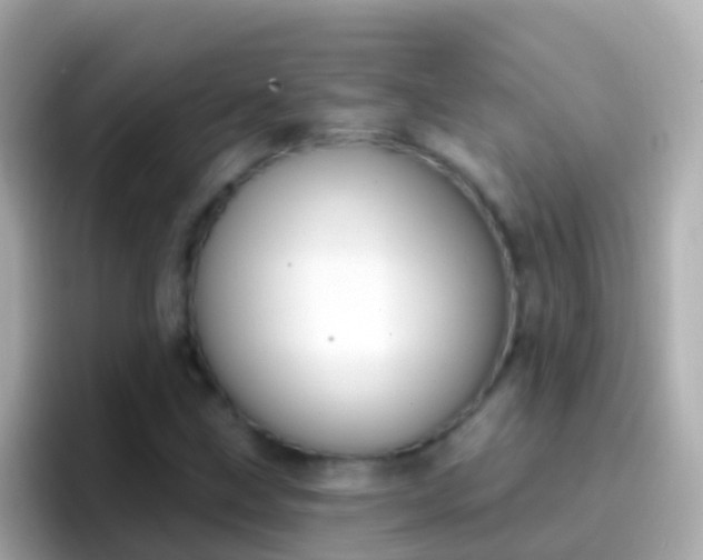 X0000096691211200802121225