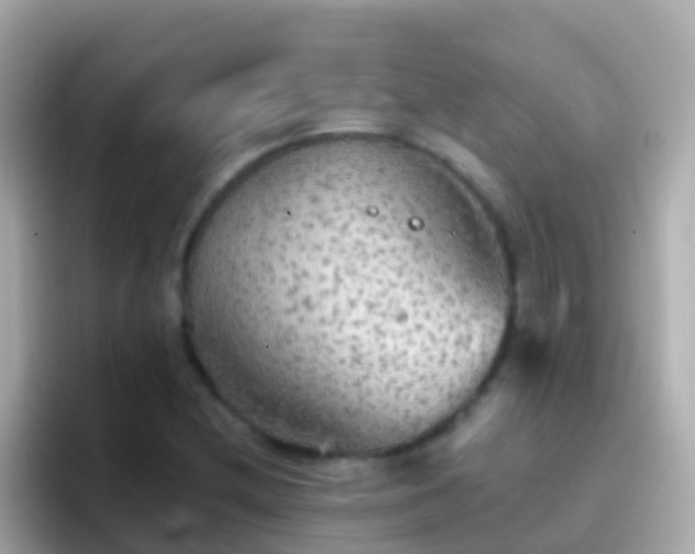 X0000096691212200802121225