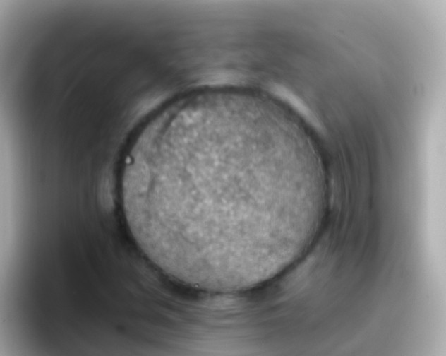 X0000096691213200802121225