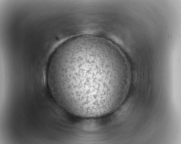 X0000096691214200802121225