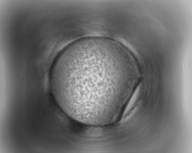 X0000096691215200802121225