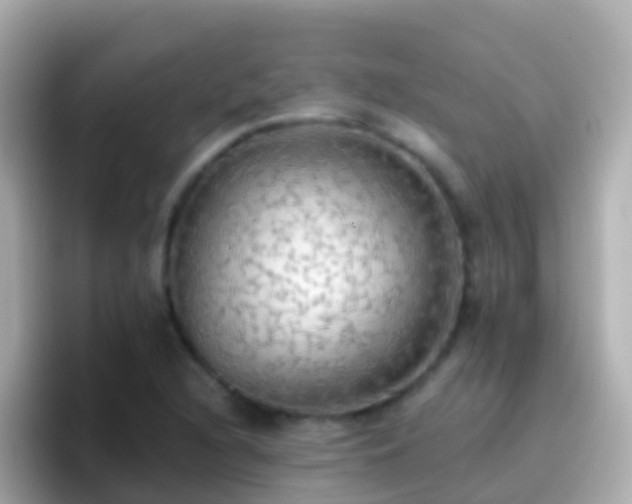 X0000096691216200802121225