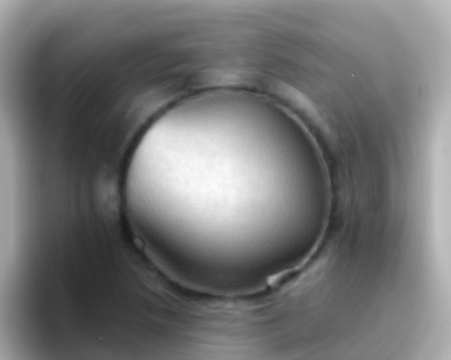 X0000096691218200802121225