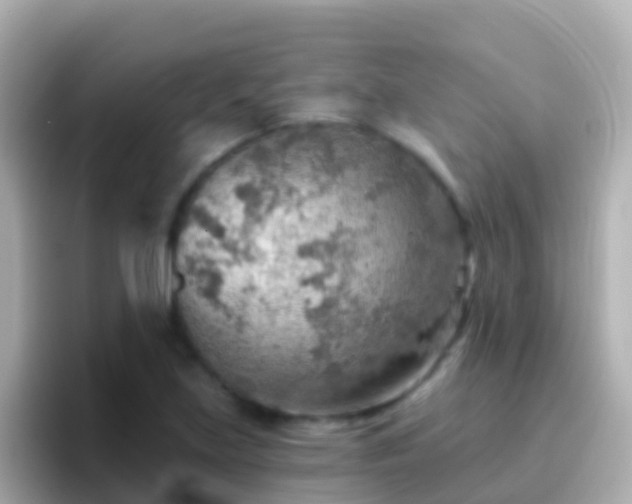 X0000096691219200802121225