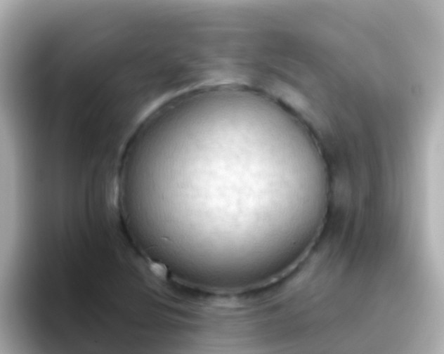 X0000096691220200802121225