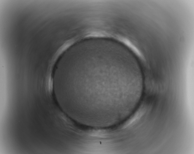 X0000096691221200802121225