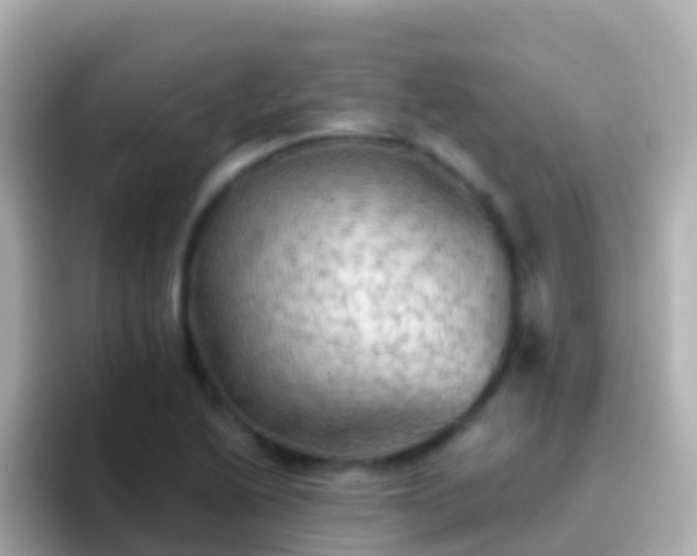 X0000096691222200802121225