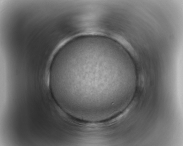 X0000096691224200802121225