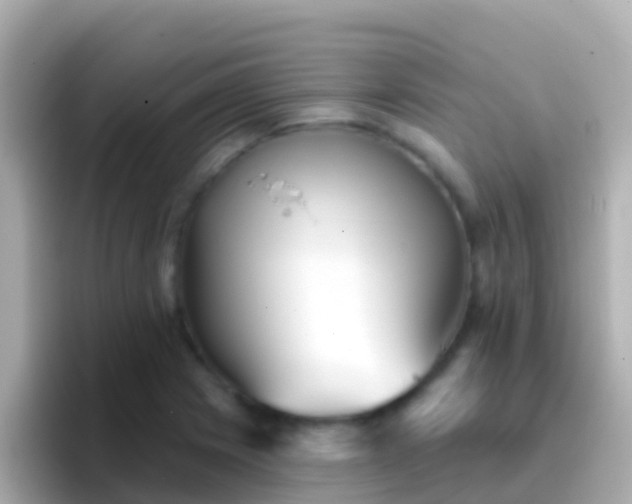 X0000096691225200802121225