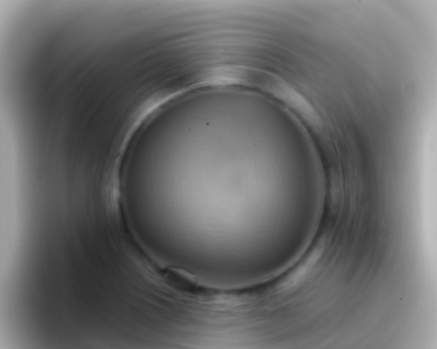 X0000096691226200802121225