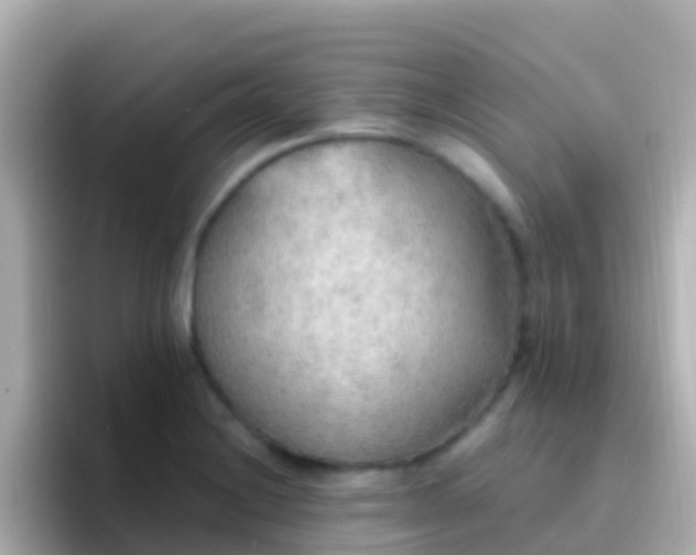 X0000096691228200802121225