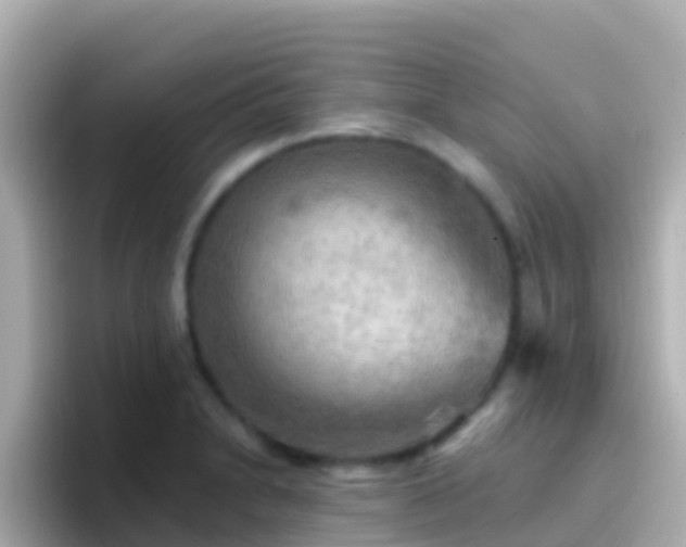 X0000096691230200802121225