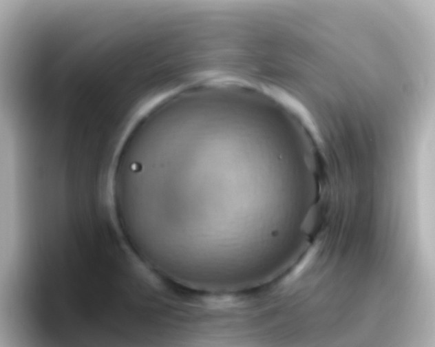 X0000096691231200802121225