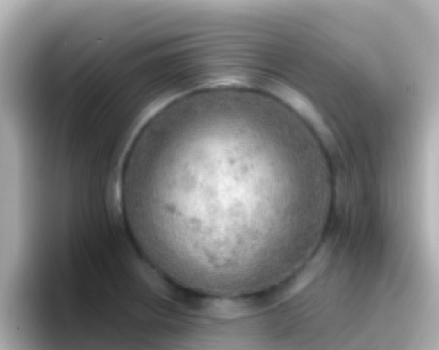 X0000096691234200802121225