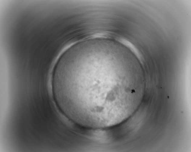 X0000096691235200802121225