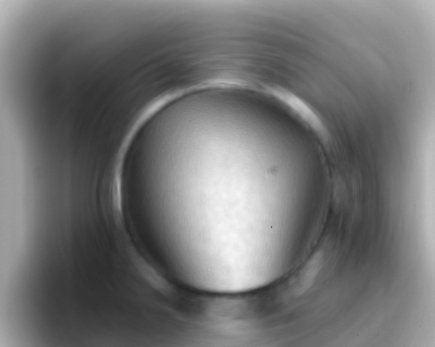 X0000096691238200802121226