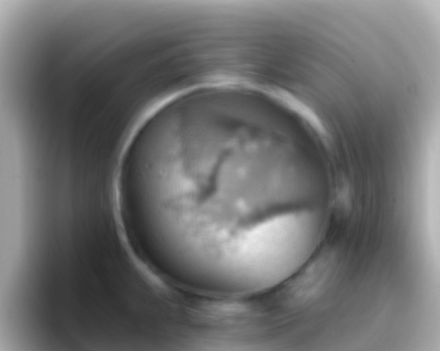 X0000096691239200802121226