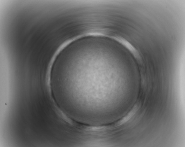 X0000096691240200802121226