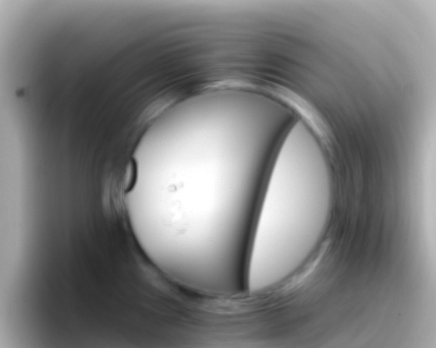 X0000096691241200802121226