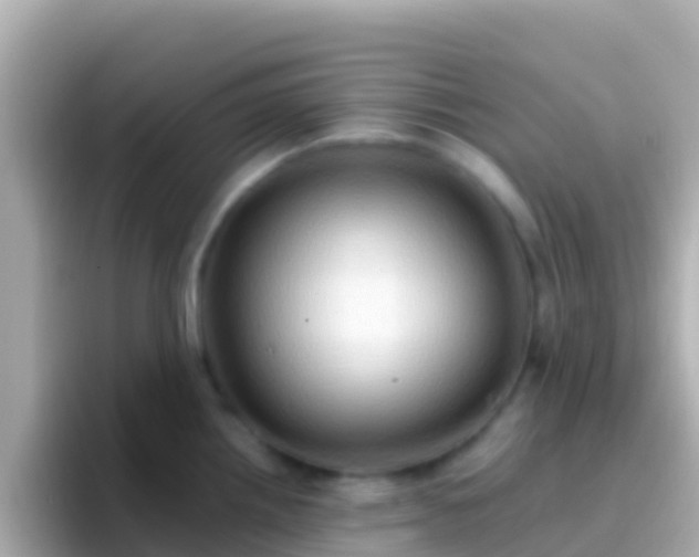 X0000096691242200802121226