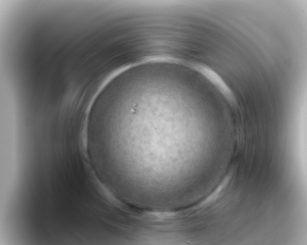 X0000096691244200802121226