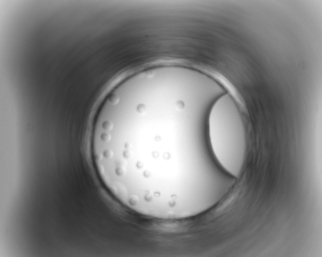 X0000096691245200802121226