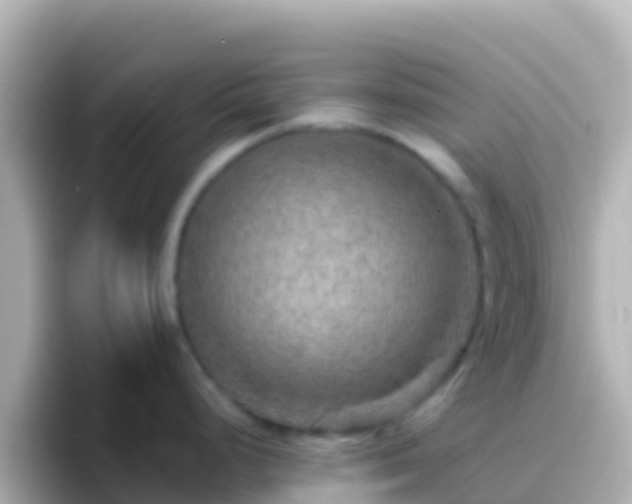 X0000096691248200802121226