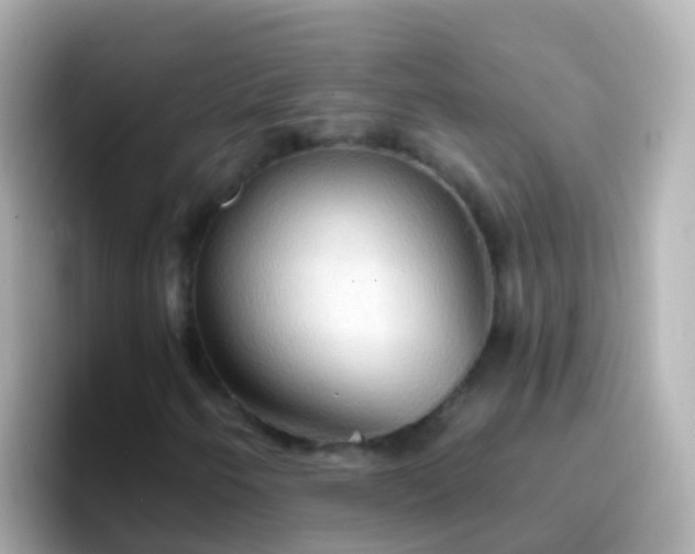 X0000096691250200802121225