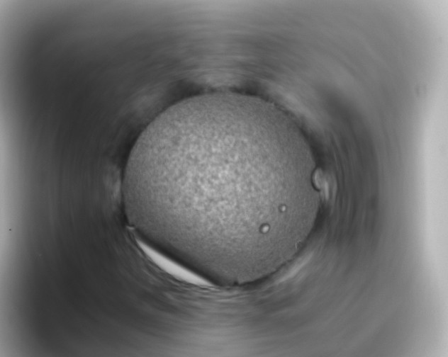 X0000096691251200802121225