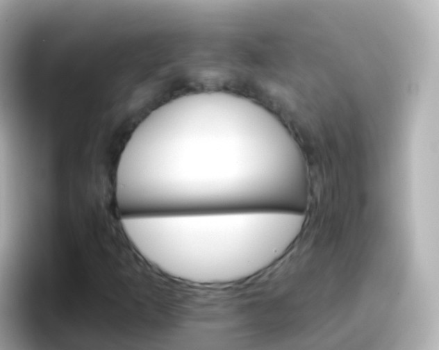 X0000096691253200802121225