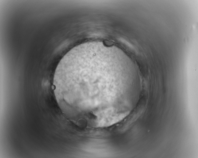 X0000096691254200802121225