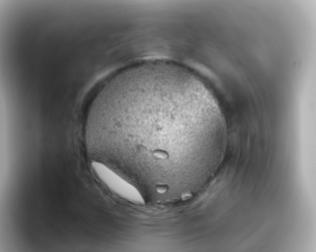 X0000096691255200802121225