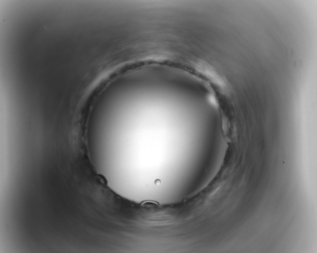 X0000096691256200802121225