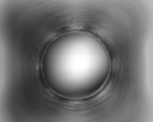 X0000096691257200802121225