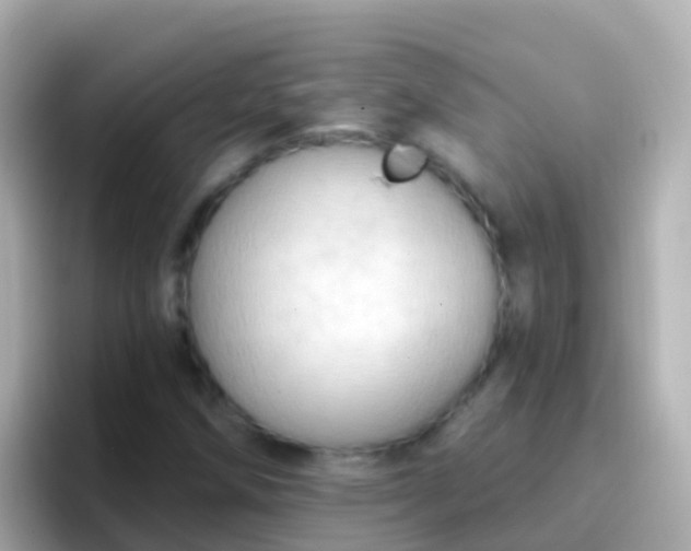 X0000096691258200802121225