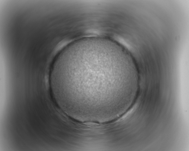 X0000096691259200802121225