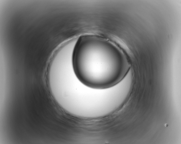 X0000096691260200802121225