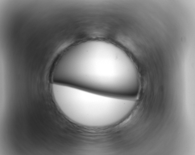 X0000096691261200802121225