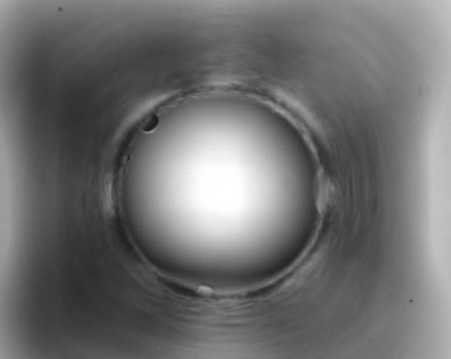 X0000096691262200802121225