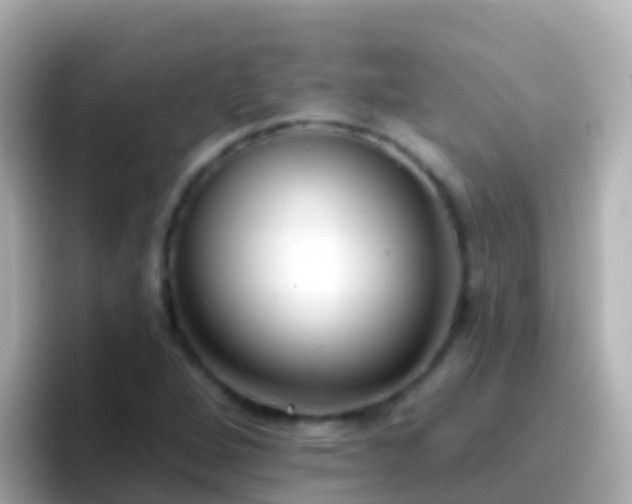 X0000096691264200802121225