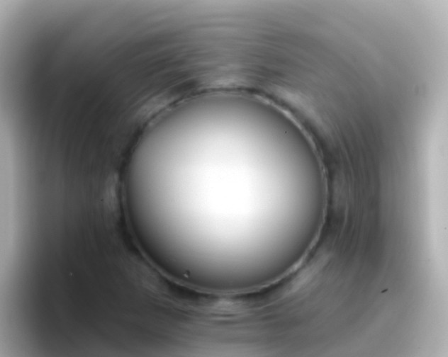 X0000096691265200802121225