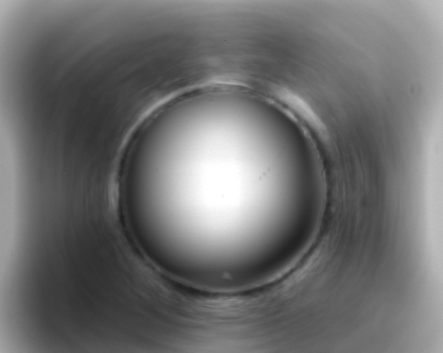 X0000096691268200802121225