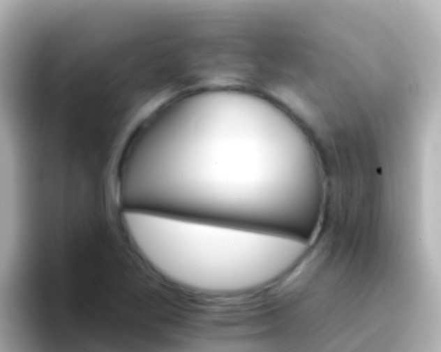 X0000096691269200802121225